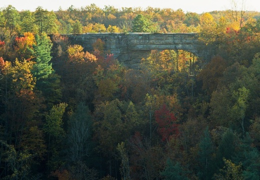 Red River Gorge in Fall